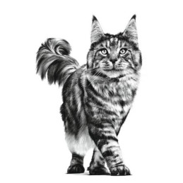 Royal Canin VD, Neutered Maintenance, kot, saszetka 85 g