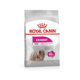 Royal Canin, pies, Mini Exigent, 1 kg