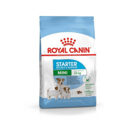 Royal Canin, Mini Starter Mother & Babydog, 4 kg