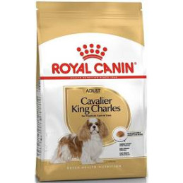 Royal Canin, Cavalier King Charles Adult, 1,5 kg