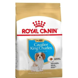 Royal Canin, Cavalier King Charles puppy, 1,5 kg