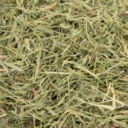 Vitapol, Vita Herbal Siano z tymotki 1kg ZVP-1043
