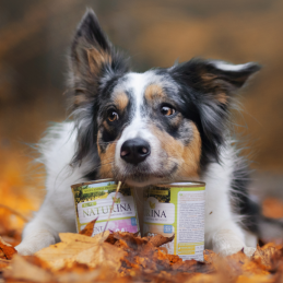 Naturina Elite Mono Wieprzowina Skin&Coat, 400 g