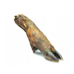 Petmex, noga dzika 5 sztuk