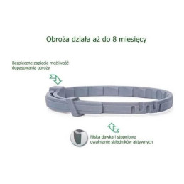 Elanco obroża Foresto na pchły i kleszcze dla psów powyżej 8 kg