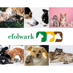 Vet Expert, Skin & Coat, 30 kaps.