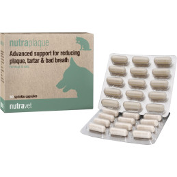 NutraPlaque na zęby dla psów i kotów, 60 tab.