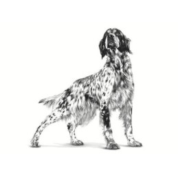 Royal Canin, Urinary, pies 410 g