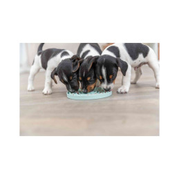 Trixie, junior licking plate, taca na przysmaki, ø15 cm tx-34954