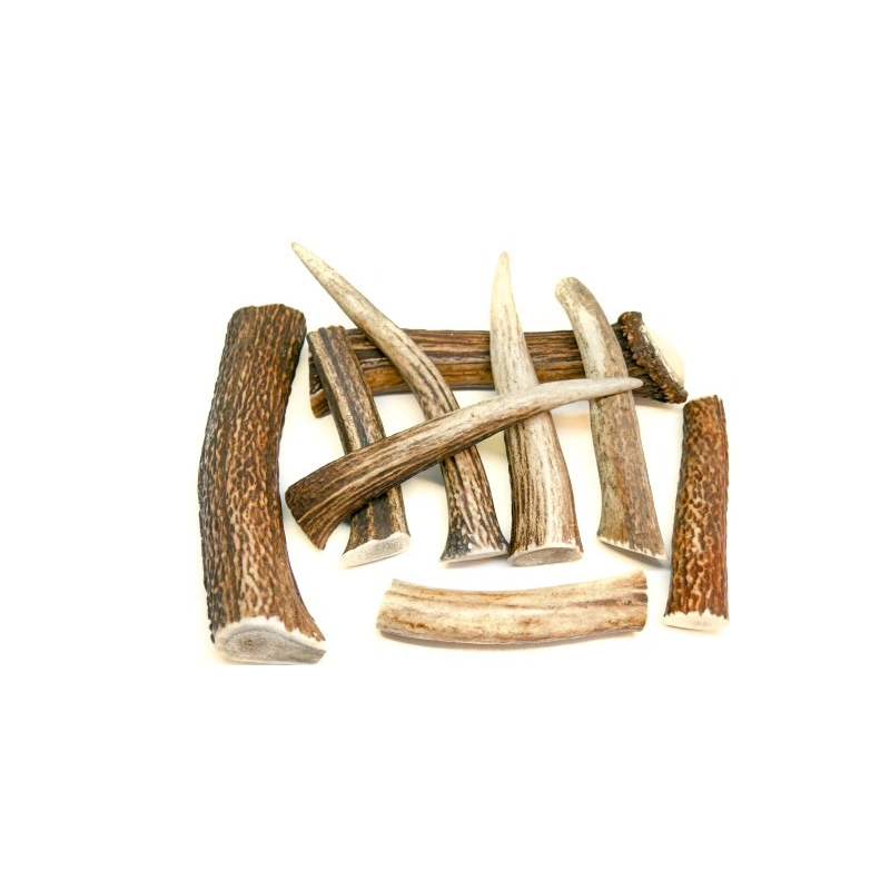 RF-Deer, gryzak z poroża jelenia, XXL, hard