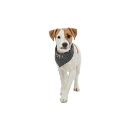 Trixie, bandamka be nordic, S 17331