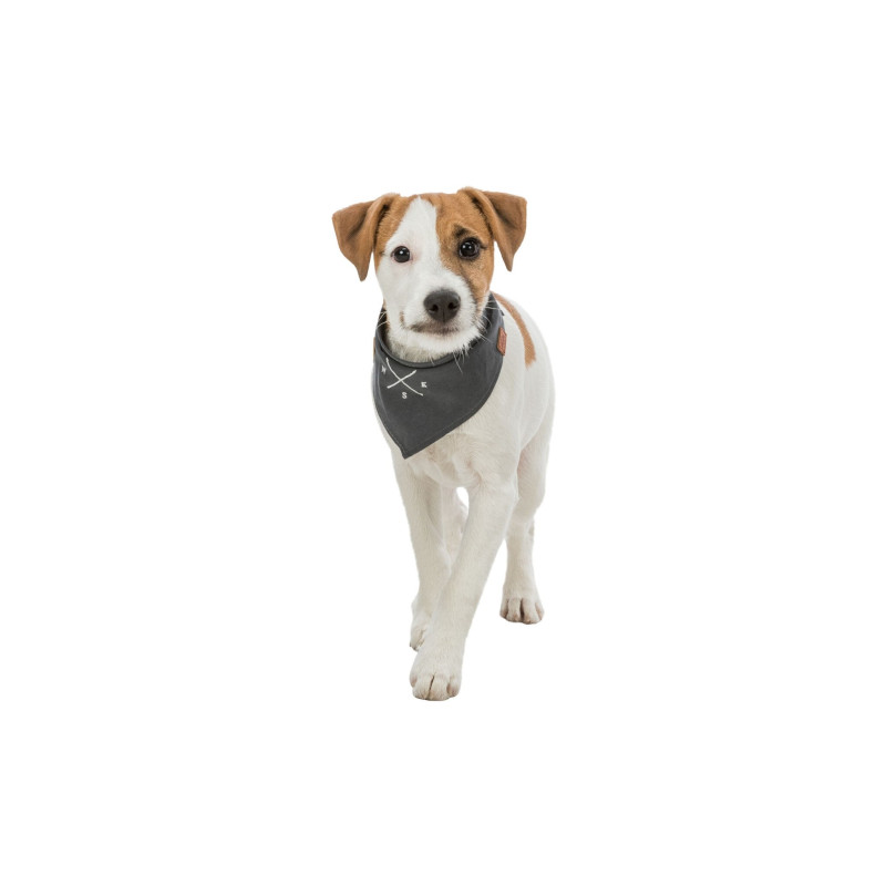 Trixie, bandamka be nordic, S 17331