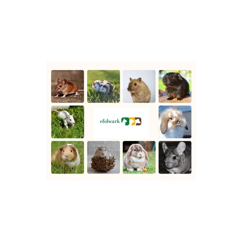 Kerbl, Poidełko dla gryzoni i królików Classic, 150 ml