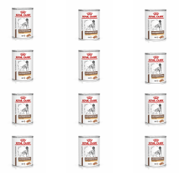 Royal Canin, Gastrointestinal High Fibre, pies, 12 x  410 g