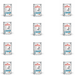 Royal Canin komplet Hypoallergenic, pies, 12 x 400 g