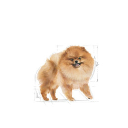 Royal Canin, BHN Pomeranian Adult, 1,5 kg