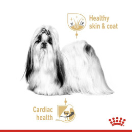 Royal Canin, Shih Tzu pasztet, saszetka 85 g