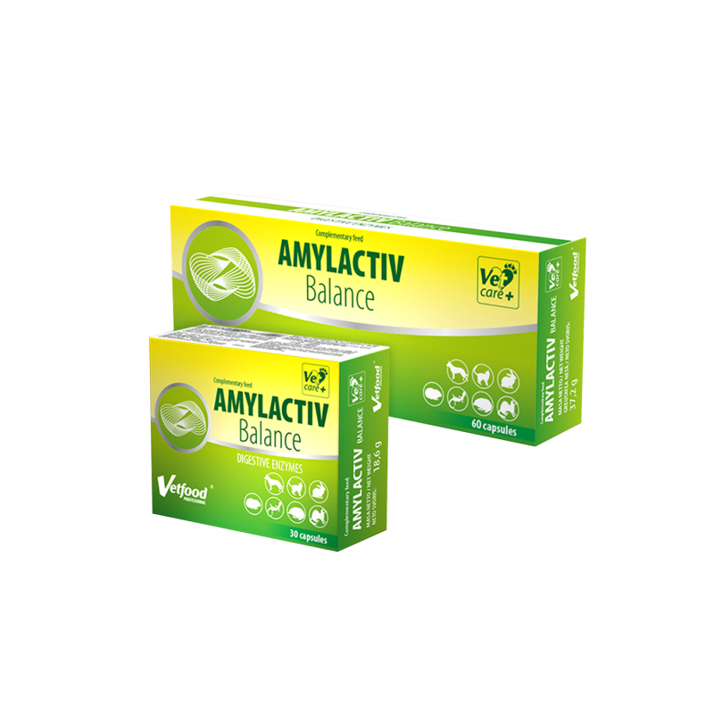 Vetfood, Amylactiv balance 30tabl
