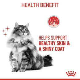Royal Canin, FCN Hair&Skin Gravy 85 g