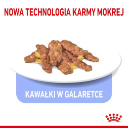 Royal Canin, FHN Sterilised Jelly, saszetka 85 g
