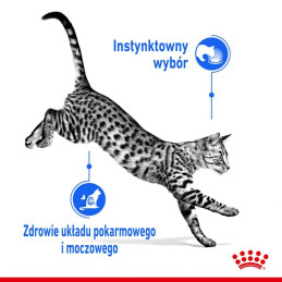 Royal Canin, FHN Sterilised Jelly, saszetka 85 g