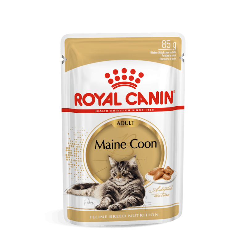 Royal Canin, Maine Coon, sos, saszetka 85 g