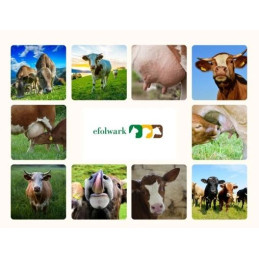 Can Agri, Separator do mleka, 8 l, w komplecie z przewodami