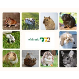 Vitapol, Powerki Burak liofilizowany dla gryzoni oraz ptaków egzotycznych 20 g