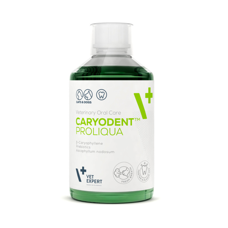 Vet Expert, Caryodent Proliqua, 250 ml