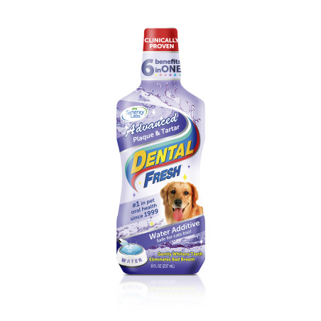 Synergy Labs, Dental Fresh, Kamień & Osad, 237ml