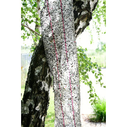 Can Agri, Lep na muchy w rolce, 10 m x 25 cm, CIT