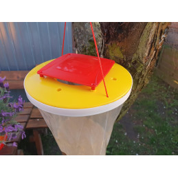 RedTop ,Pułapka na muchy (muchołapka), 3 litry