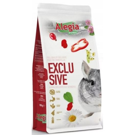 Alegia Exclusive Szynszyl, 1,6 kg