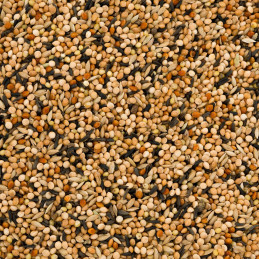 Garden&Fun, Karma dla ptaków wolnożyjących drobne nasiona 1 kg GF-12874