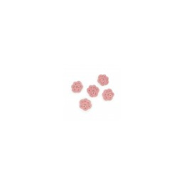 Lolo Pets, ciasteczka dla psa IMMUNE - wzmacniające odporność 350g LO-80813
