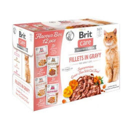 BRT CARE CAT FG FLAVOUR BOX POUCH 12X85g