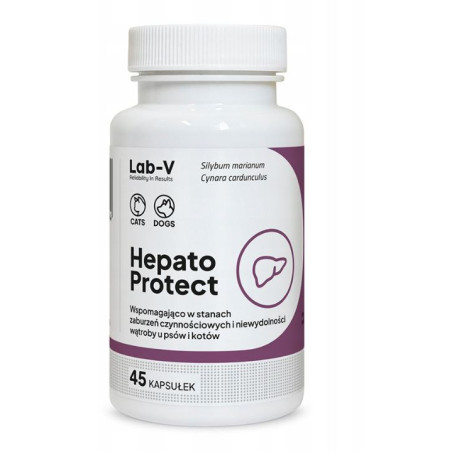 Lab V Hepato Protect, 45 kaps