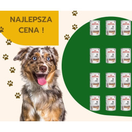 Royal Canin VD Gastrointestinal low fat 420 g x 12 sztuk