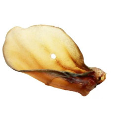 RF DEER, Ucho Wołowe 1 szt