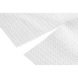 Can Agrii, Ręcznik papierowy Perfect Clean 440.