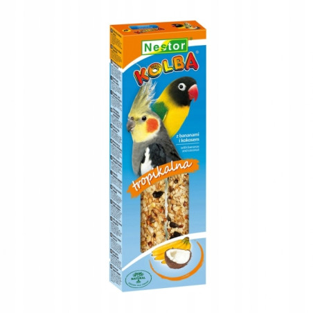 Nestor, Kolba Papuga Średnia, Tropikalna