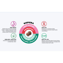 John Dog, Good Form, Średnie i duże rasy, Cielęcina z jagnięciną, 3 kg