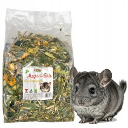 Alegia, Natural, Mega Paka dla Szynszyli, 650 g