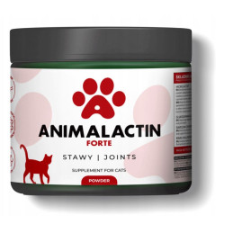 Animalactin Forte, stawy, dla kotów, 103 g
