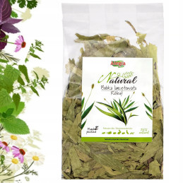 Alegia, Natural, Babka Lancentowata, 300 g