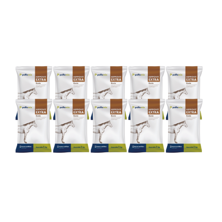 Polfamix, Hippovit, witaminy dla koni, 10 x 1 kg