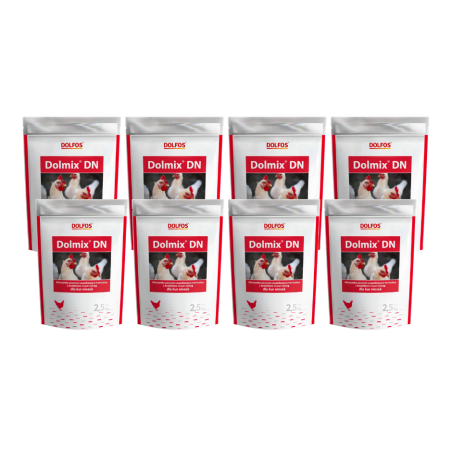 Dolfos, Dolmix DN, witaminy dla kur, 8 x 2,5kg