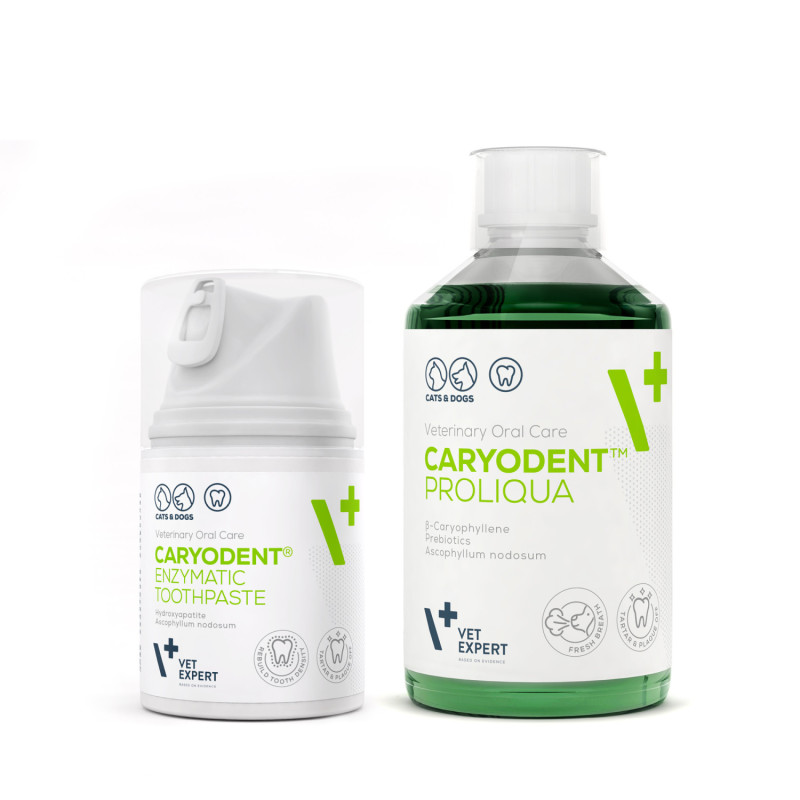 VET EXPERT CARYODENT zestaw ENZYMATIC TOOTHPASTE i PROLIQUA pasta i płyn