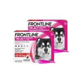 ZESTAW 2 X FRONTLINE TRI-ACT dla psów 40-60 kg XL 3x6ml