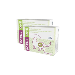 Zestaw 2szt Dechra preparat Porus One, sasze 30 x 500 mg